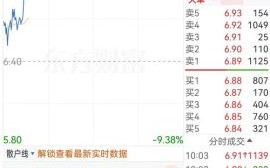 000677股票怎么样_000677恒天海龙值得买吗