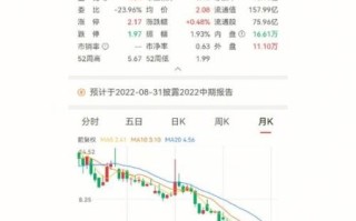 苏宁云商股票怎么样_值得长期持有吗