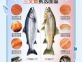 三文鱼多少钱一斤_如何挑选新鲜三文鱼