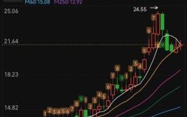 中鼎股票值得长期持有吗_中鼎股份未来走势如何