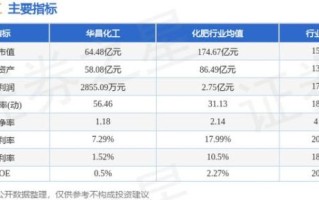 华昌化工股票怎么样_华昌化工股票值得买吗