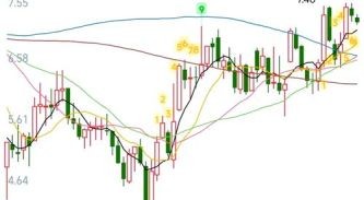 300009股票行情_未来走势如何