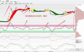002049股票值得买吗_紫光国微未来走势