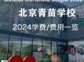 北京青苗国际双语学校学费_北京青苗国际双语学校怎么样