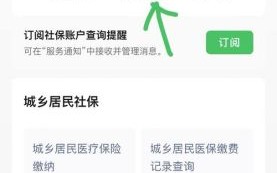 北京社保服务平台登录不了怎么办_北京社保个人缴费记录怎么查