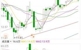 000301股票怎么样_东方盛虹未来走势分析