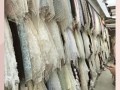 坯布价格走势_坯布批发市场在哪里