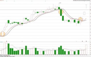 龙蟒佰利股票值得长期持有吗_龙蟒佰利股票未来走势如何