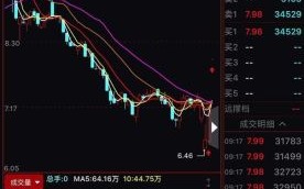 杭齿前进股票值得买吗_杭齿前进股票未来走势