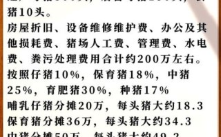 养猪赚钱吗_2024年养猪市场前景如何