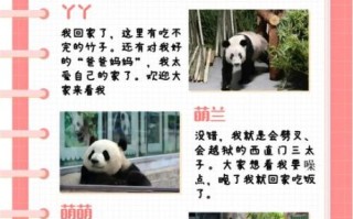 北京野生动物园门票价格_北京野生动物园门票怎么买