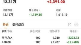 300438股票怎么样_值得长期持有吗