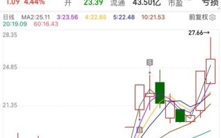 神思电子股票值得买吗_神思电子股票未来走势