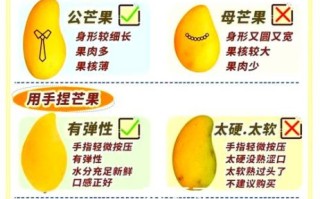 芒果多少钱一斤_芒果怎么挑才甜