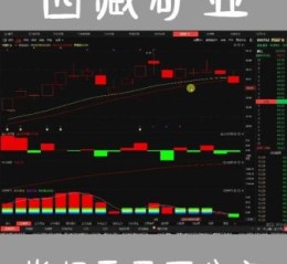 西藏矿业股票怎么样_未来走势预测