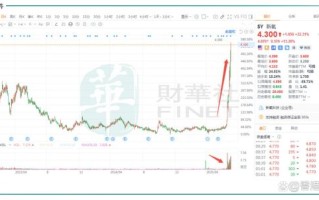 新氧股票怎么样_新氧股价未来走势分析