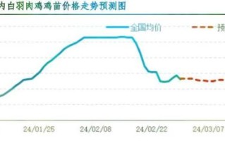 鸡肉价格为什么上涨_鸡肉批发市场在哪里
