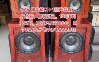 丽声音响怎么样_丽声音响值得买吗