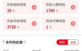 北明软件怎么样_北明软件值得去吗