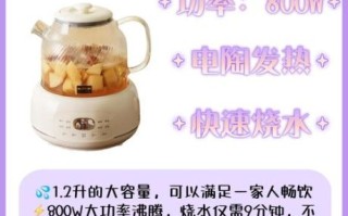 养生壶怎么用_养生壶哪个牌子好