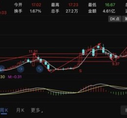 600884股票值得长期持有吗_杉杉股份未来走势如何