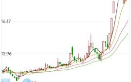 双象股份股票怎么样_双象股份值得投资吗