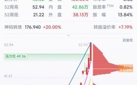 神州数码股票股吧_现在还能买吗