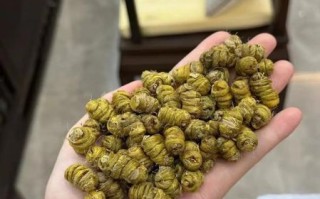 石斛价格多少钱一斤_石斛怎么吃效果最好