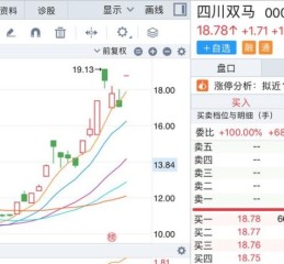 四川双马股票值得买吗_四川双马股票未来走势