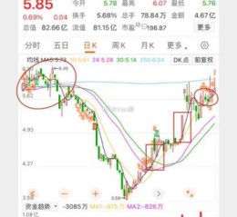 拓日新能股票怎么样_未来走势预测