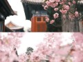 北京万寿寺门票价格_开放时间