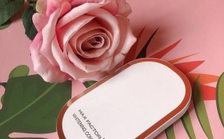 蜜丝佛陀粉饼怎么样_适合什么肤质