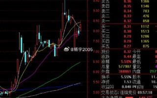 300131股票怎么样_300131股票未来走势