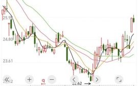 600725股票行情_还能买吗