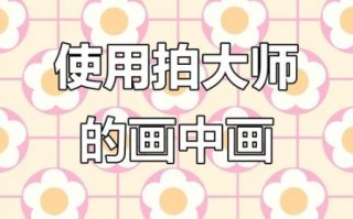 拍大师怎么样_拍大师好用吗 拍大师怎么样_拍大师好用吗