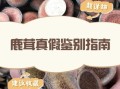 鹿茸价格多少钱一克_鹿茸怎么挑选真假