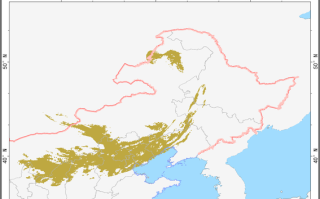 北京云图是什么_北京云图怎么使用