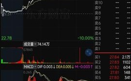 干锋锂业股票值得买吗_干锋锂业股票未来走势 干锋锂业股票值得买吗_干锋锂业股票未来走势
