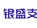 银盛支付怎么样_银盛支付安全吗