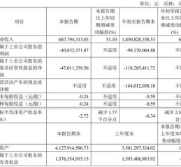 深圳新星股票怎么样_值得长期持有吗