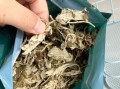 艾草多少钱一斤_新鲜艾草和干艾草价格差多少