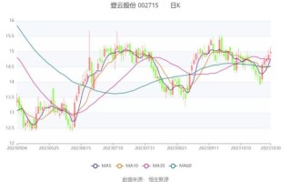 登云股份股票怎么样_登云股份值得投资吗