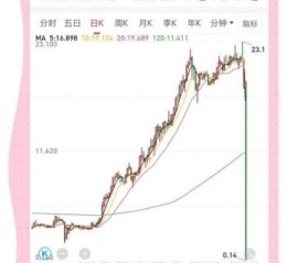 中升集团股票怎么样_值得长期持有吗