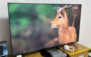 tcl屏幕怎么样_tcl屏幕优缺点