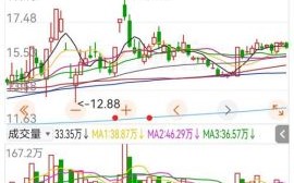 信雅达股票怎么样_信雅达未来走势分析
