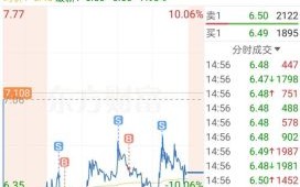 中电鑫龙股票怎么样_值得长期持有吗