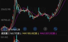 神州泰岳股票怎么样_未来走势分析