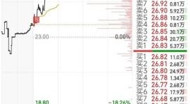 300690股票怎么样_300690股票未来走势