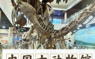 北京恐龙博物馆门票价格_北京恐龙博物馆开放时间