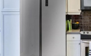 松下电冰箱怎么样_松下冰箱质量好吗